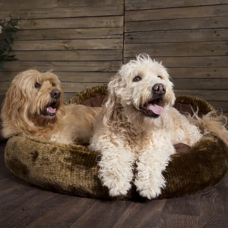 Cub Bear Dog Bed - Brown Bear