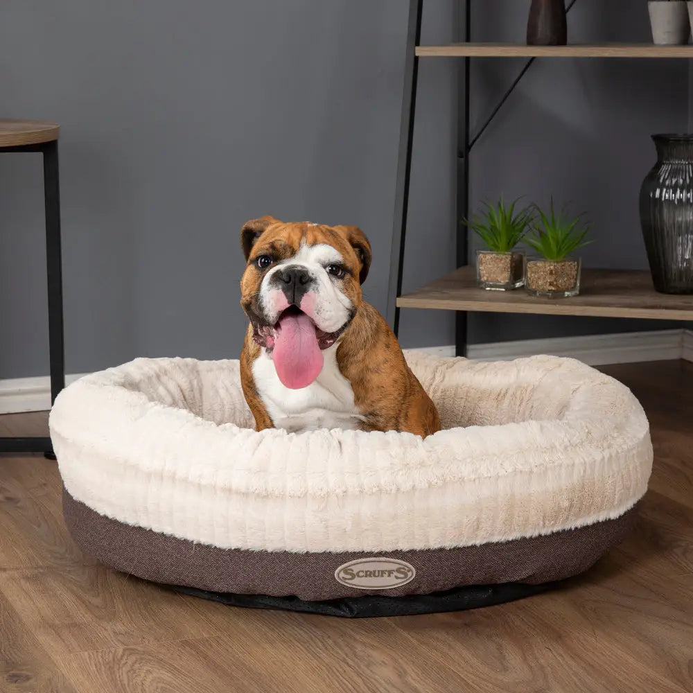 Ellen Donut Bed in Grey (available in 2 sizes)