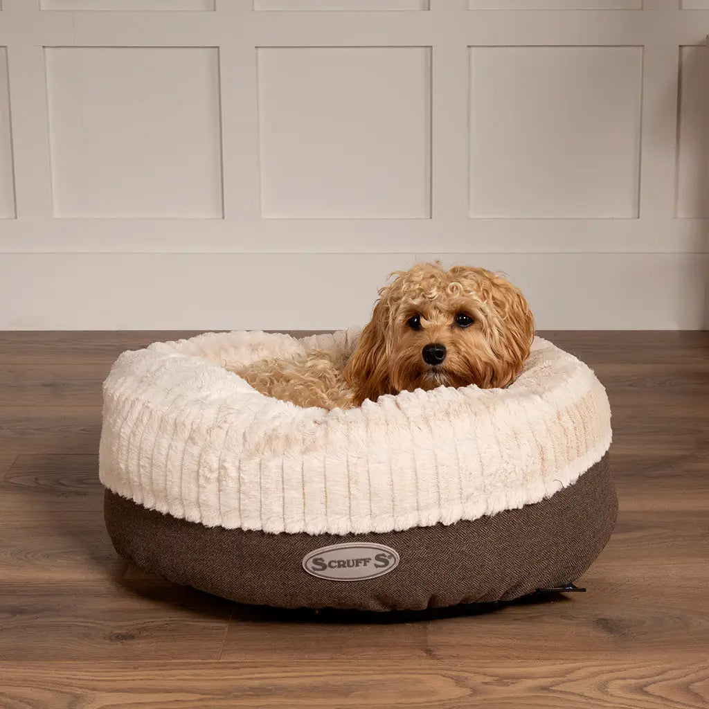 Ellen Donut Bed in Grey (available in 2 sizes)