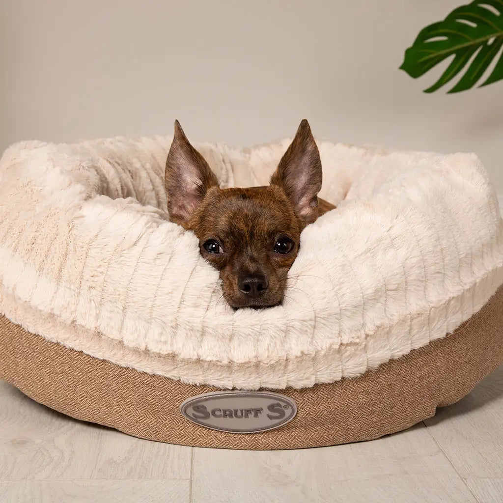 Ellen Donut Bed in Tan (available in 2 sizes)