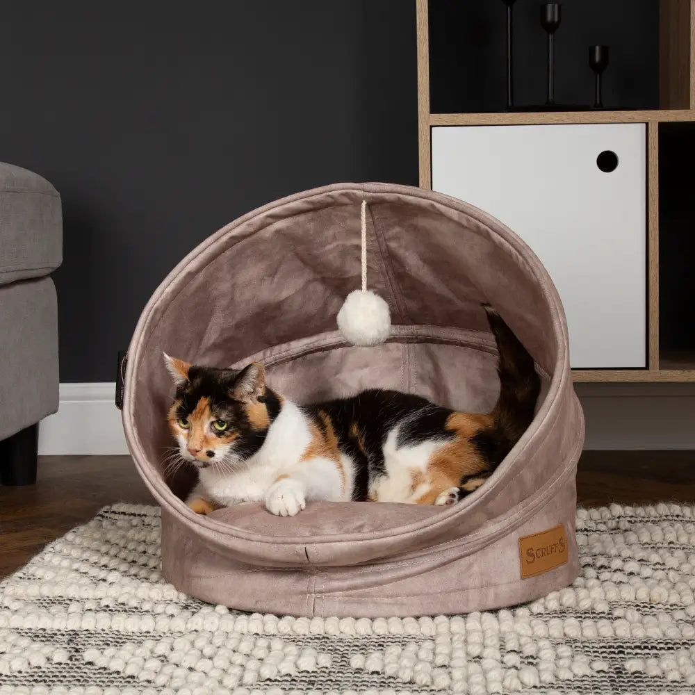 Kensington Cat Bed in Cream - Pet Bed