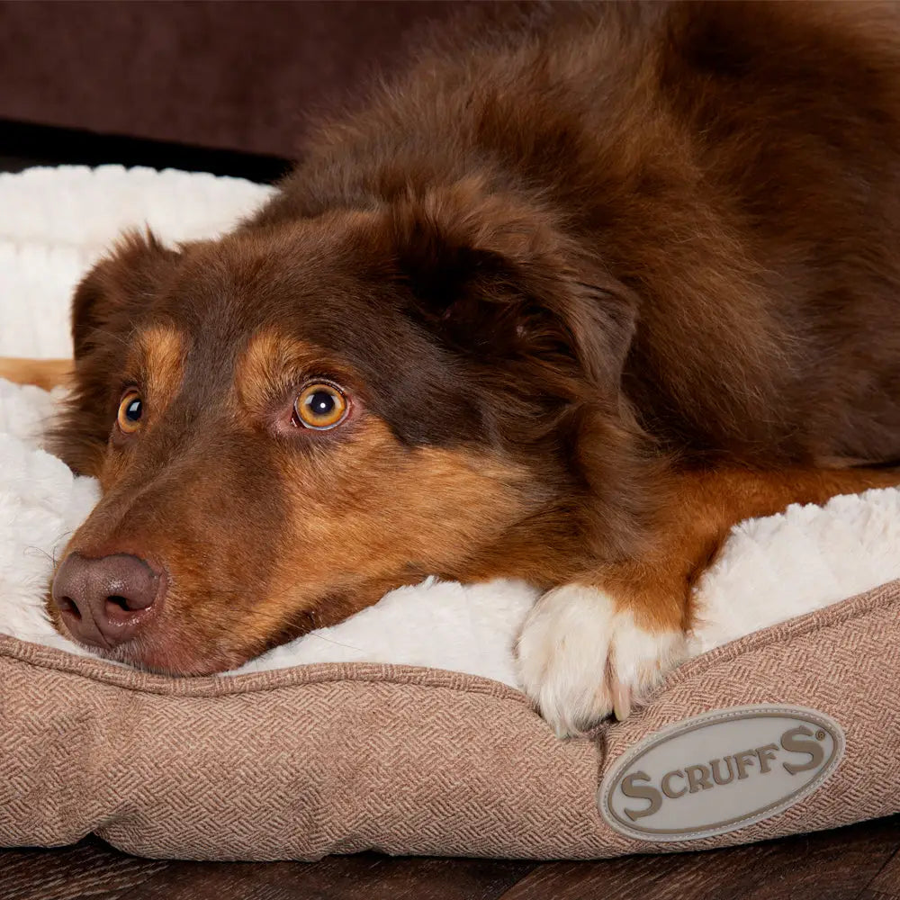 Large Ellen Mattress in Tan