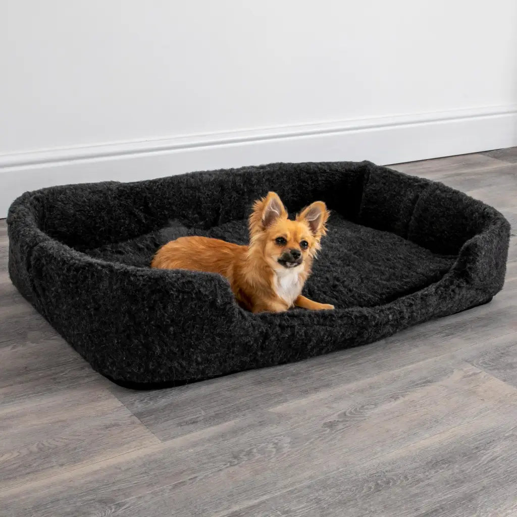 Merino Wool Large Pet Bed - Black