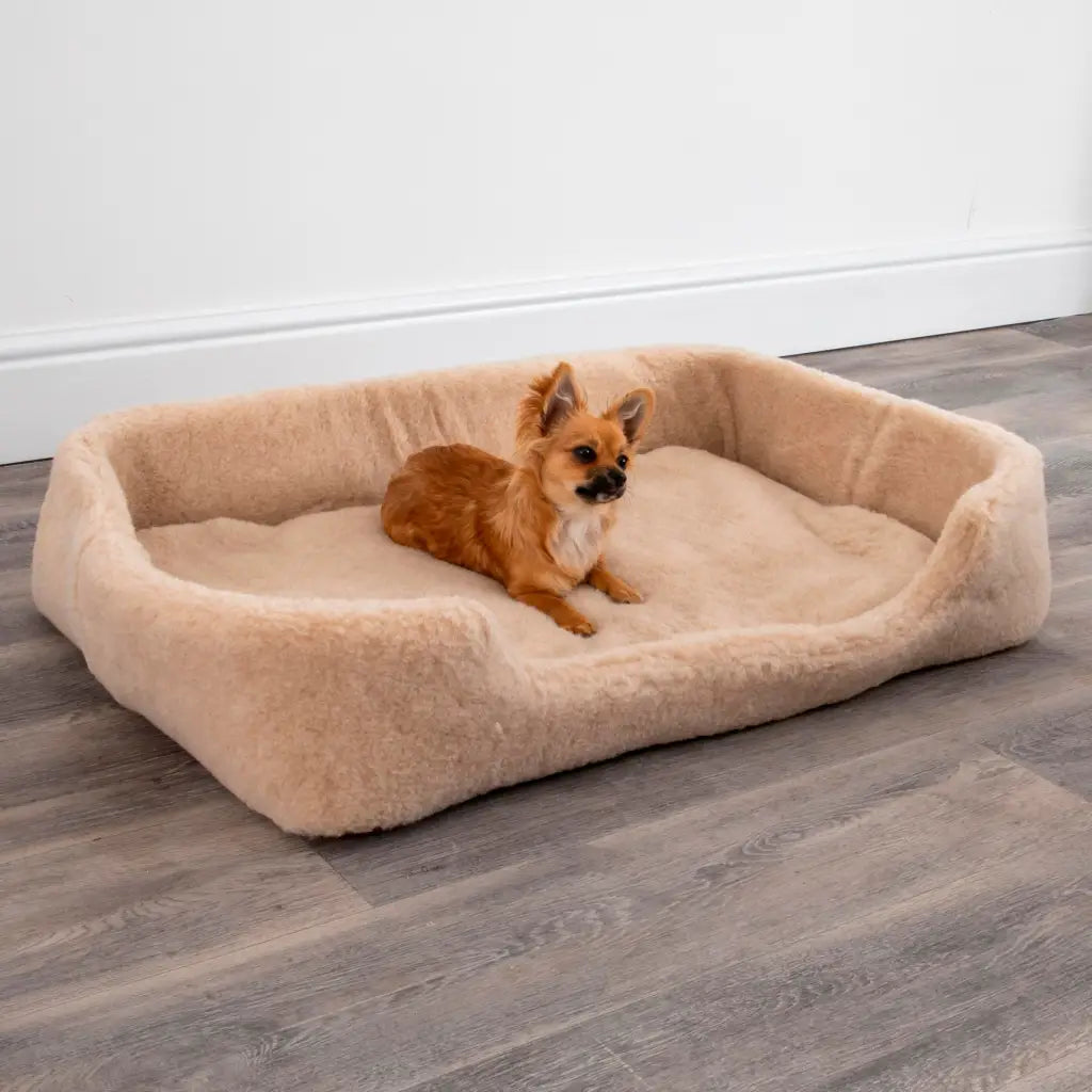 Merino Wool Large Pet Bed - Cappucino