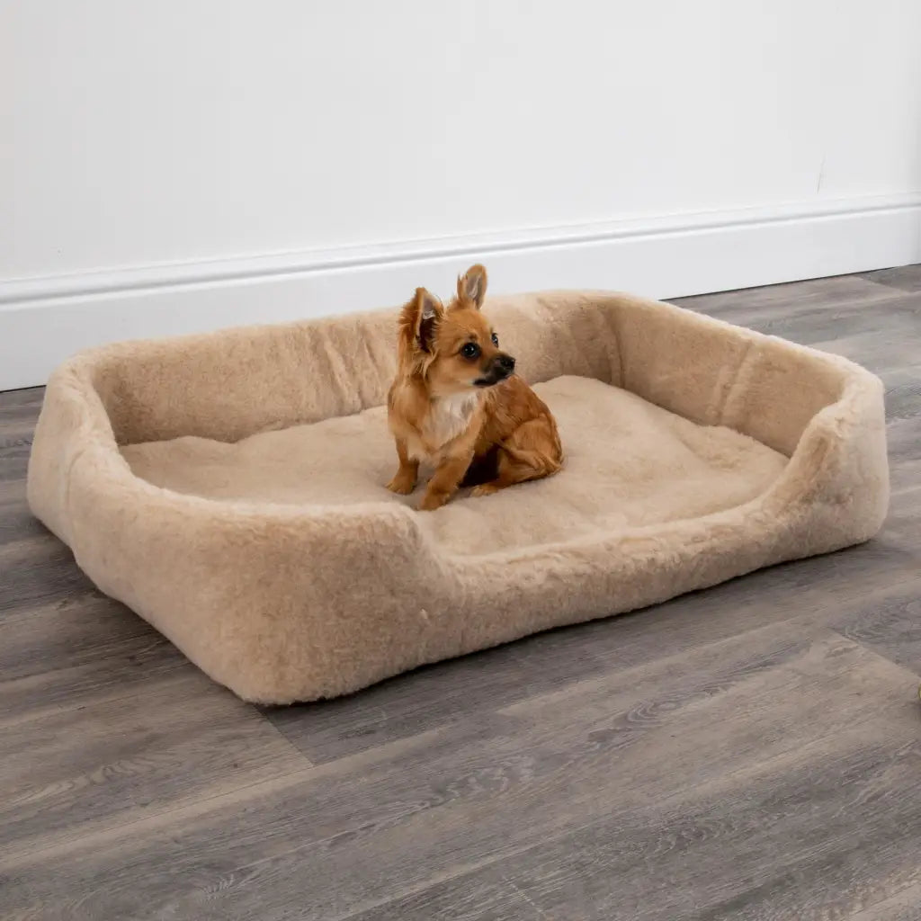 Merino Wool Large Pet Bed - Cappucino