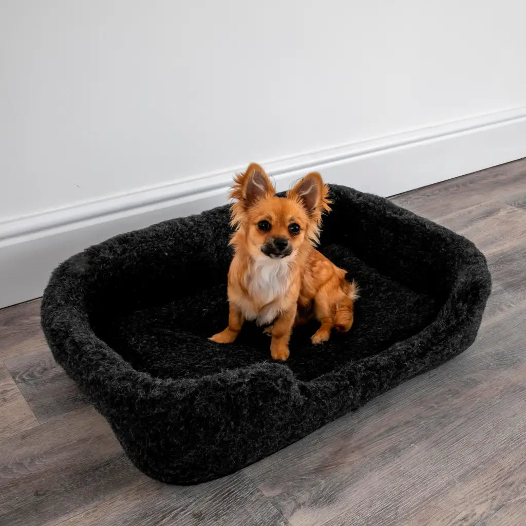 Merino Wool Pet Bed - black