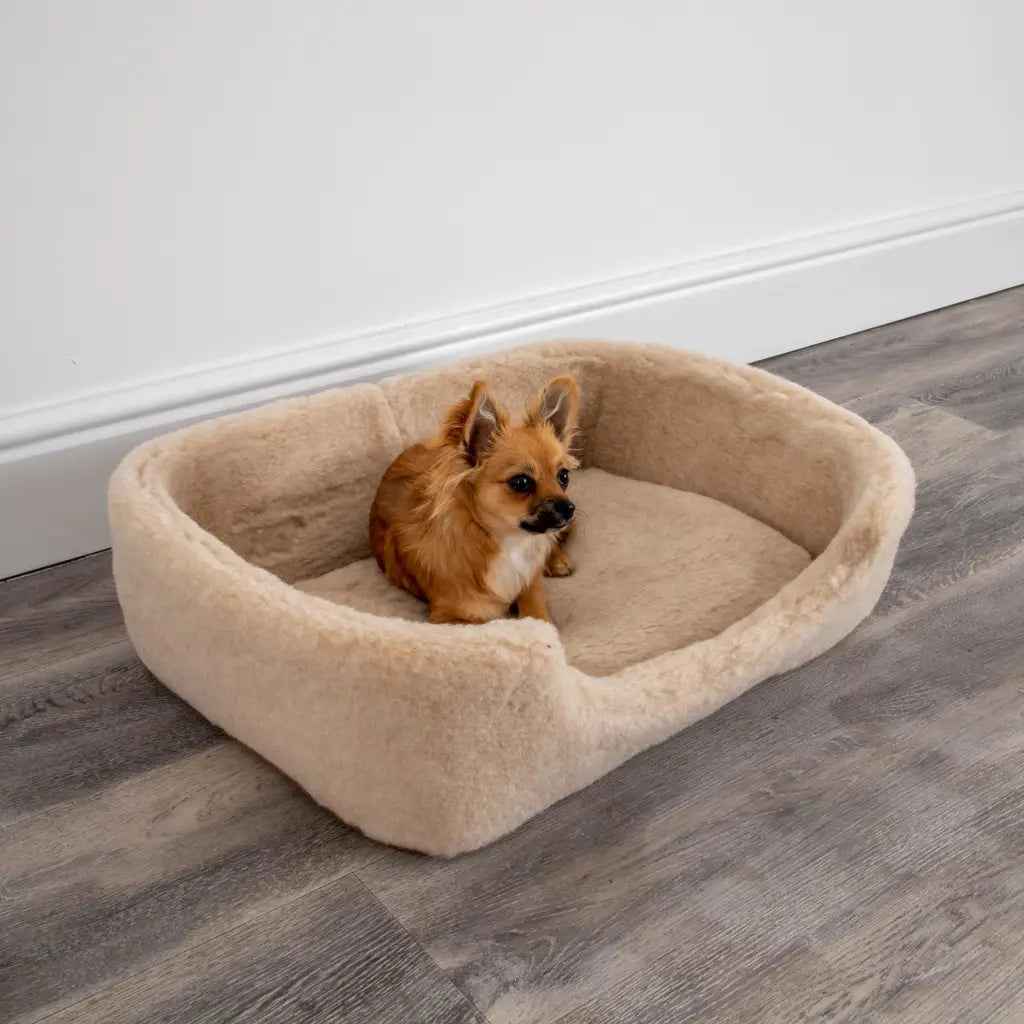 Merino Wool Pet Bed - Cappucino